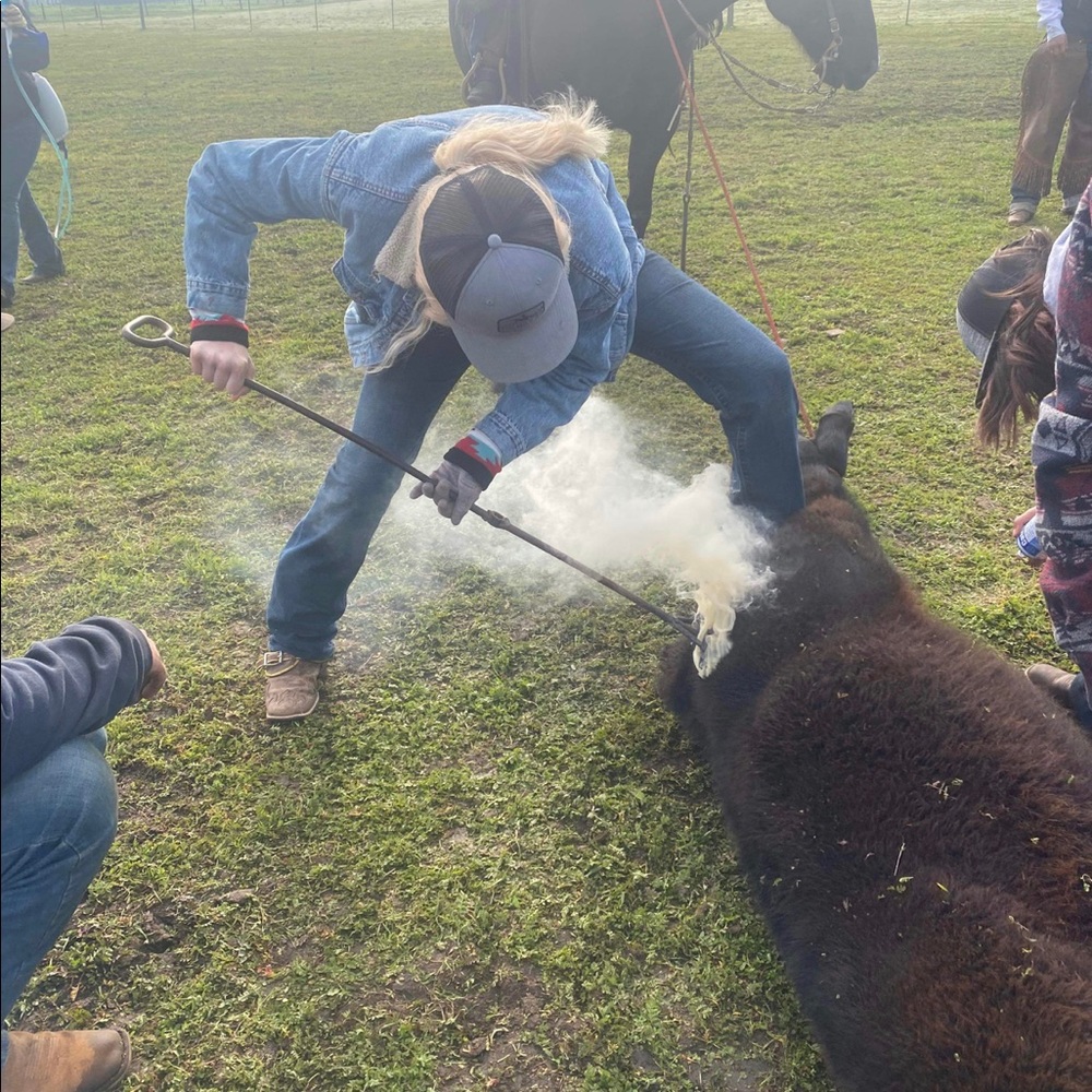 Meet your Posher, Lauryn